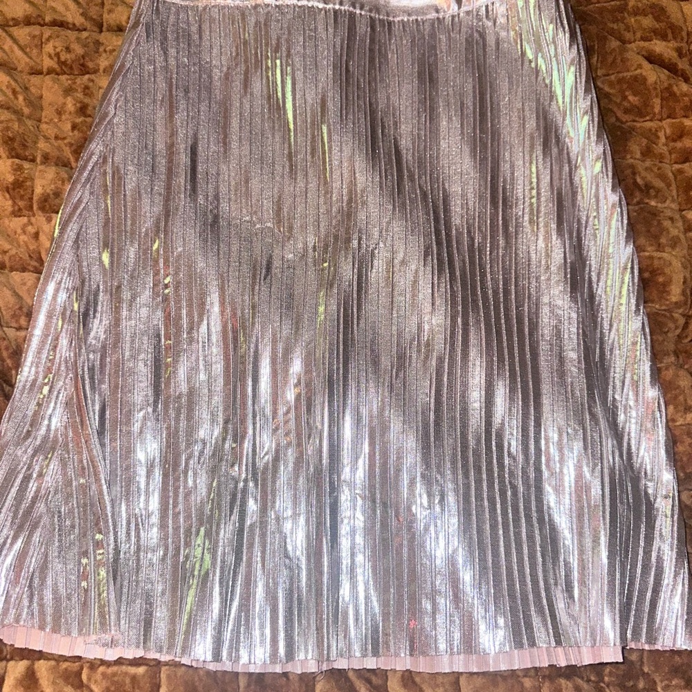 Source Unknown Shimmery Metallic Silver Pleated A-Line Skirt